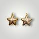 Набір ялинкових іграшок зірки, золотистий, 2 шт, 8 см, пластик (032891) 032891 фото 2